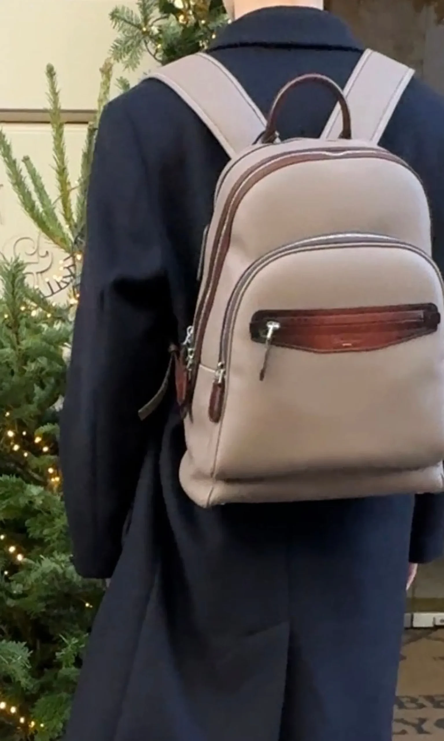 BAG 2647