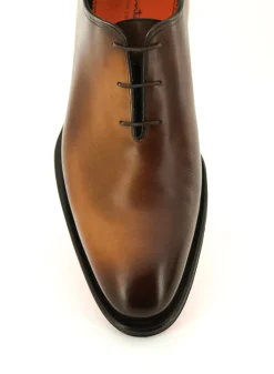 CARTER 16229 FLC
