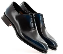 CARTER 16229 NGW