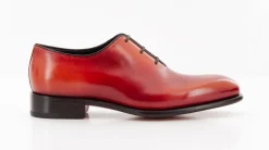 CARTER 16229 NGW