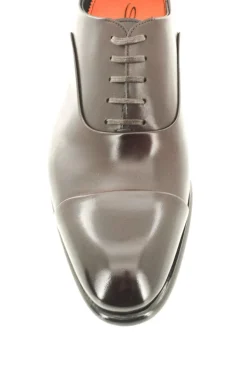 CARTER 12621 VSY