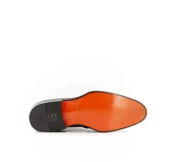 CARTER 17691 VVD
