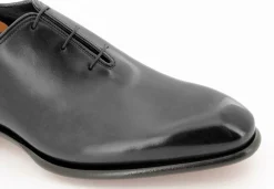 CARTER 16229 VVD