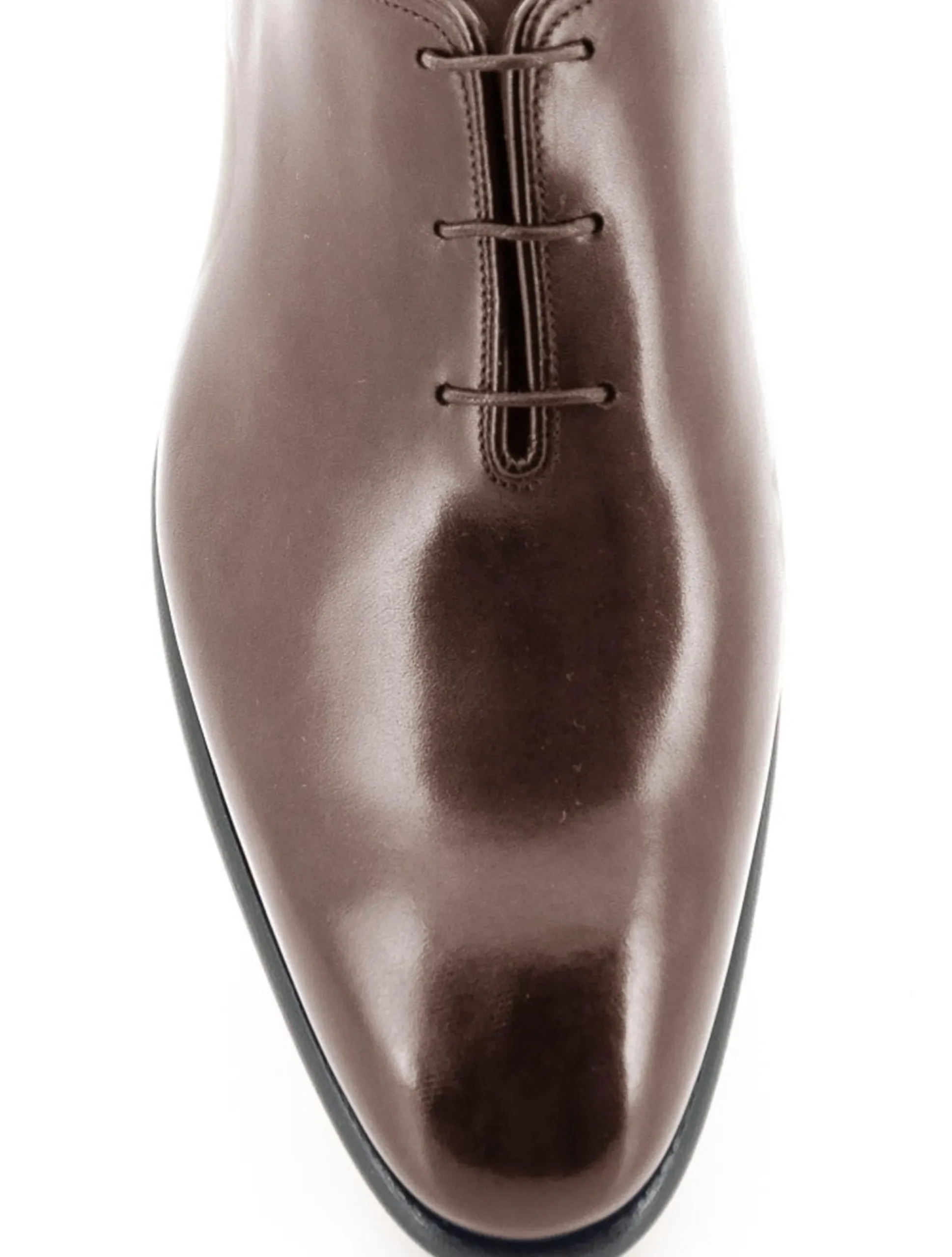 CARTER 16229 VVD