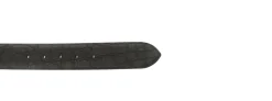 CEINT 2200013A