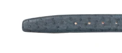 CEINT C102 AUT