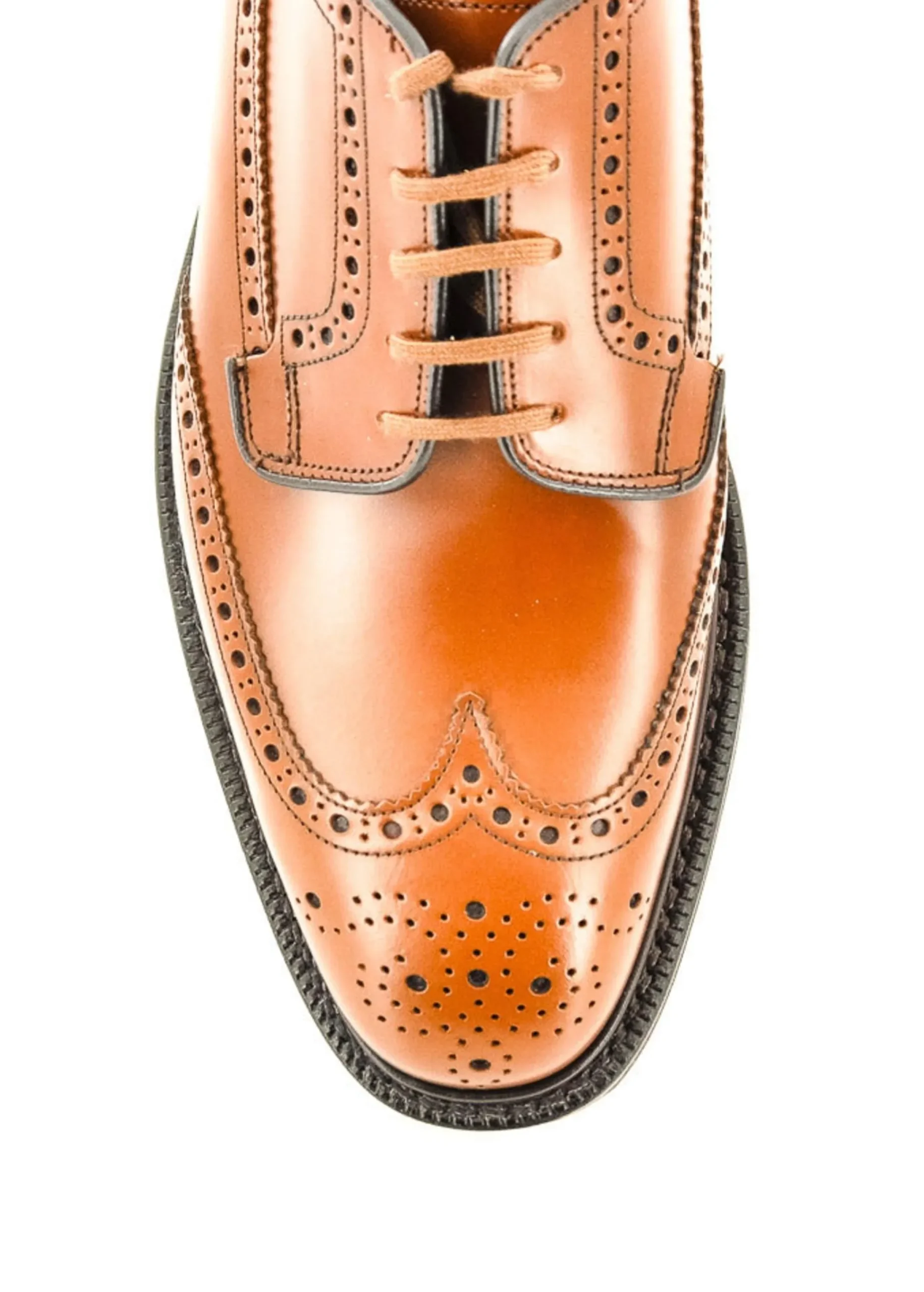 GRAFTON 173