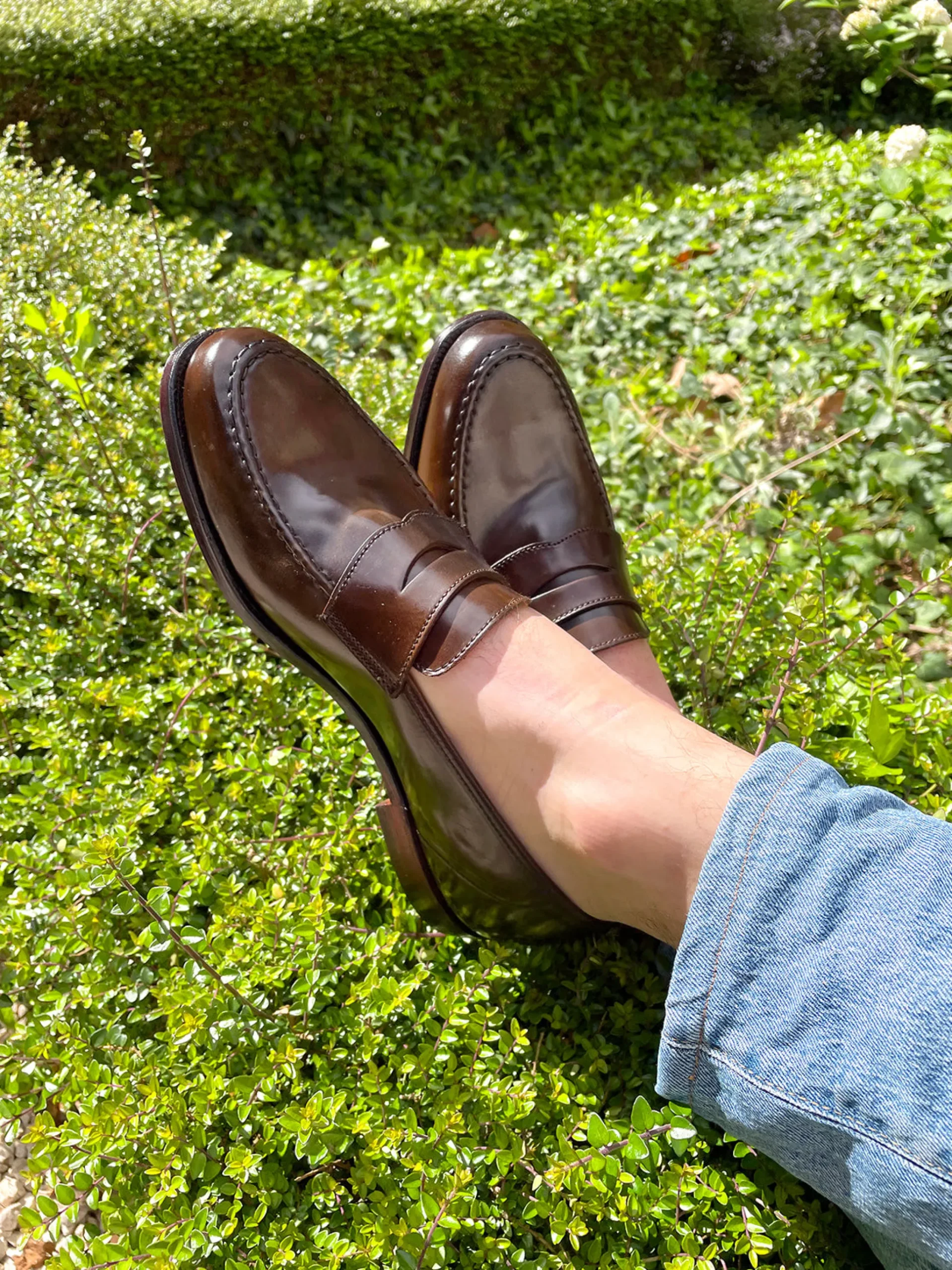 HARVARD WHISKY CORDOVAN