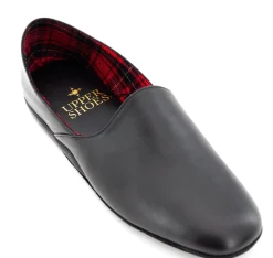 SLP 1237 CALF