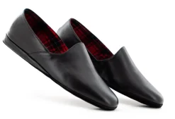 SLP 1237 CALF