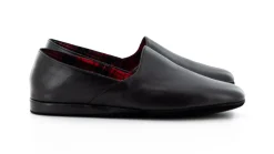 SLP 1237 CALF